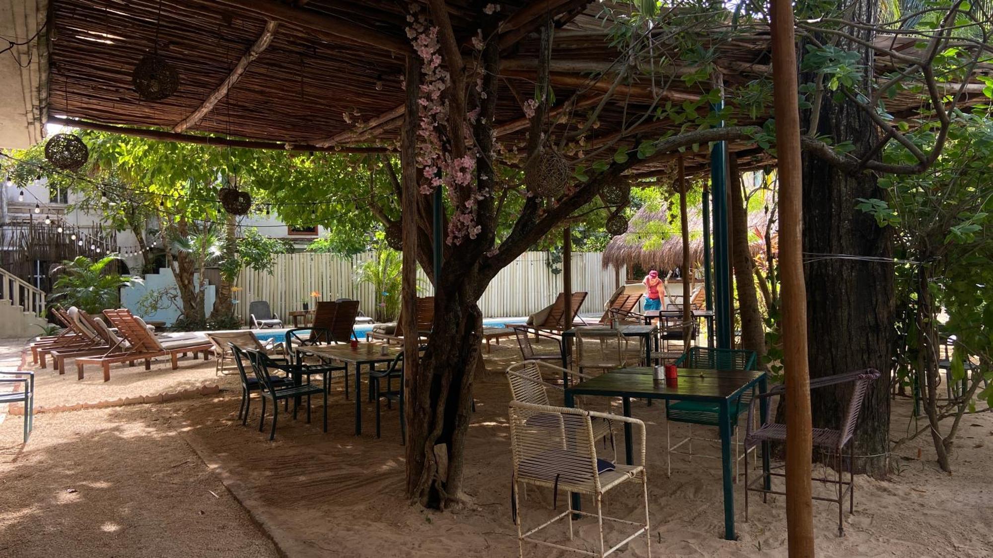 Nature Stay (Adults Only) Playa del Carmen Eksteriør bilde
