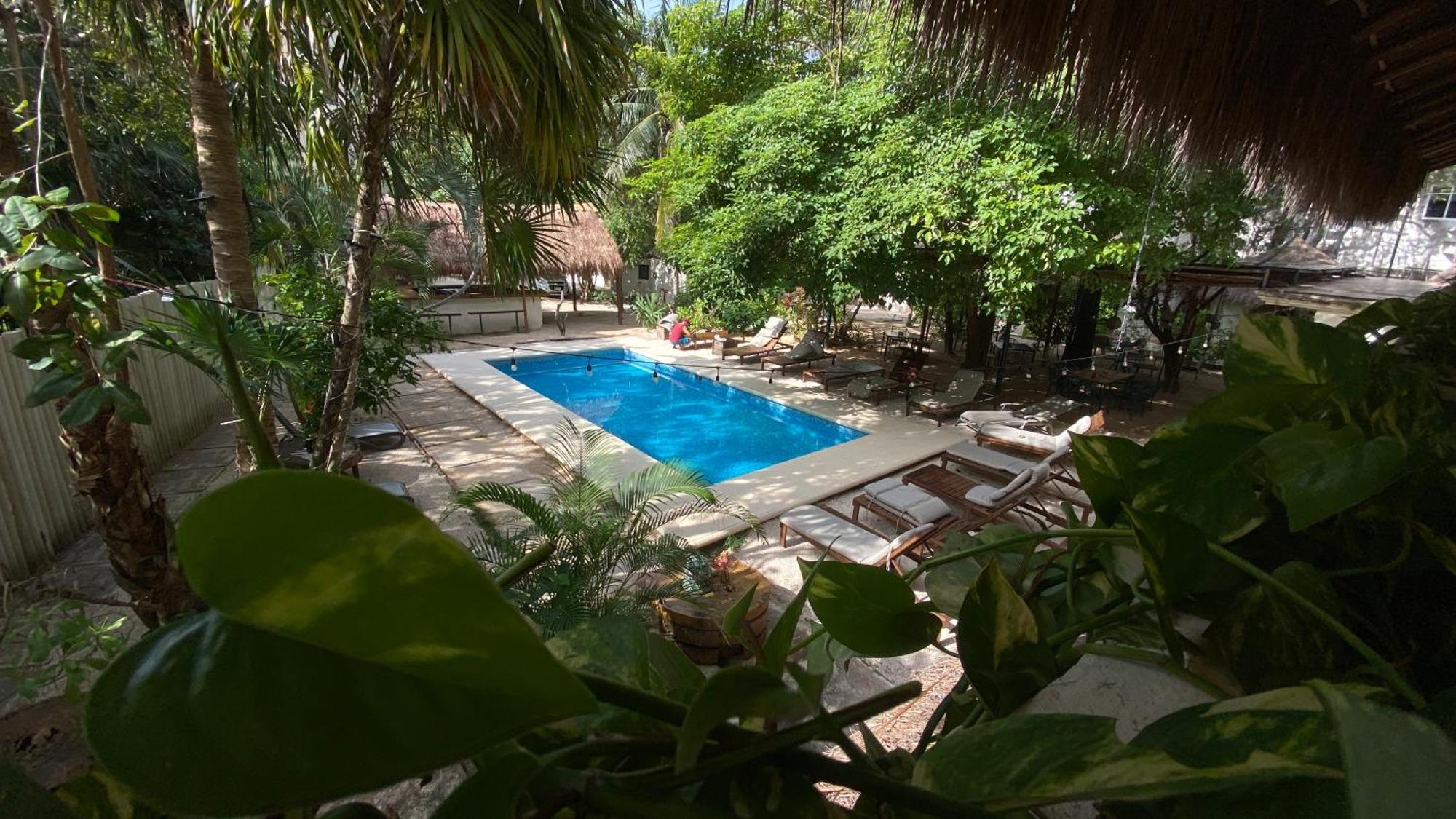 Nature Stay (Adults Only) Playa del Carmen Eksteriør bilde