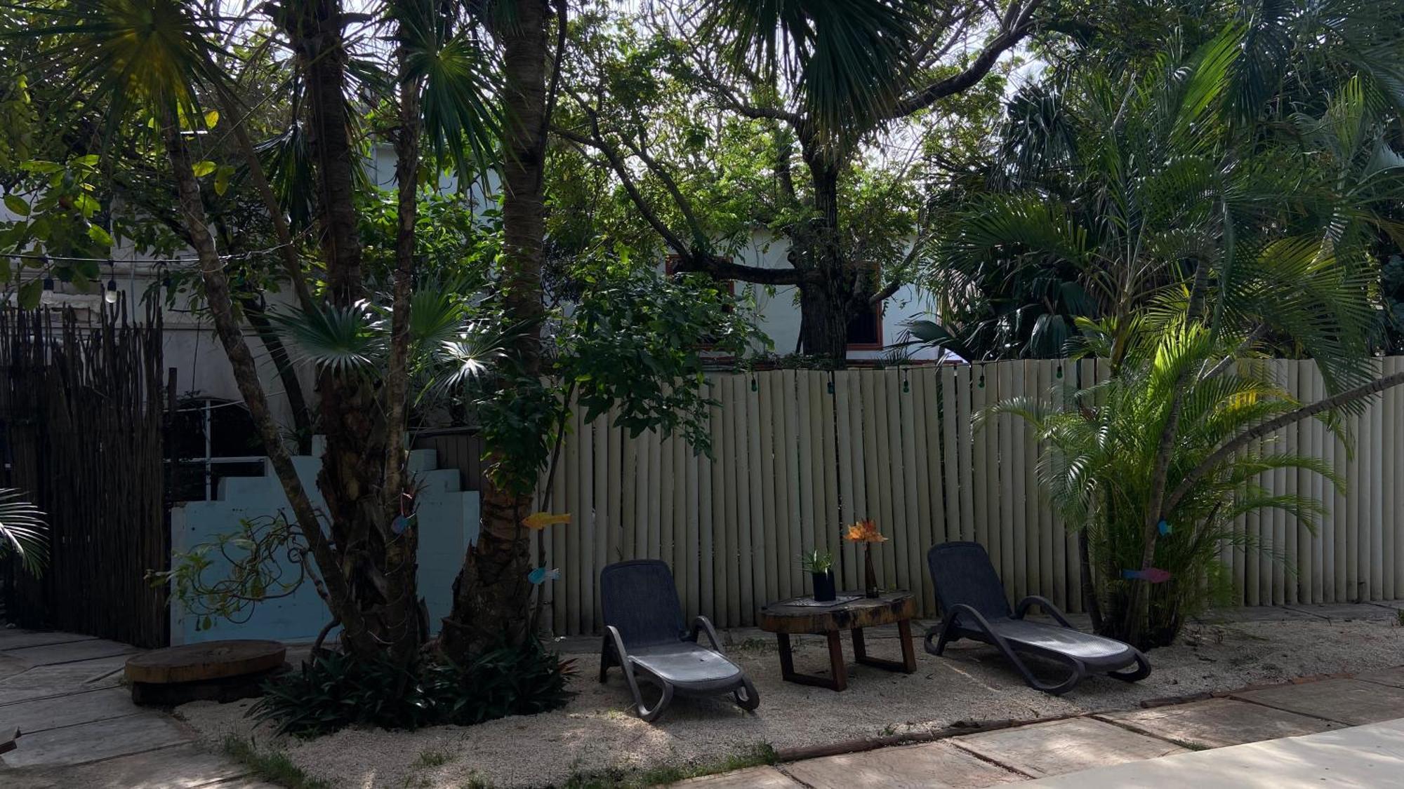 Nature Stay (Adults Only) Playa del Carmen Eksteriør bilde