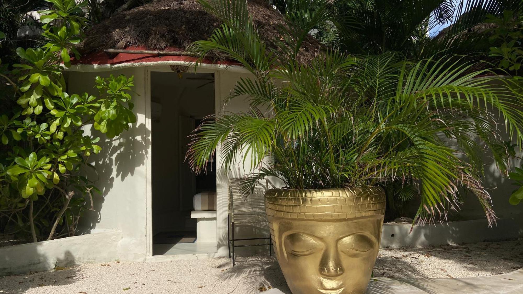 Nature Stay (Adults Only) Playa del Carmen Eksteriør bilde